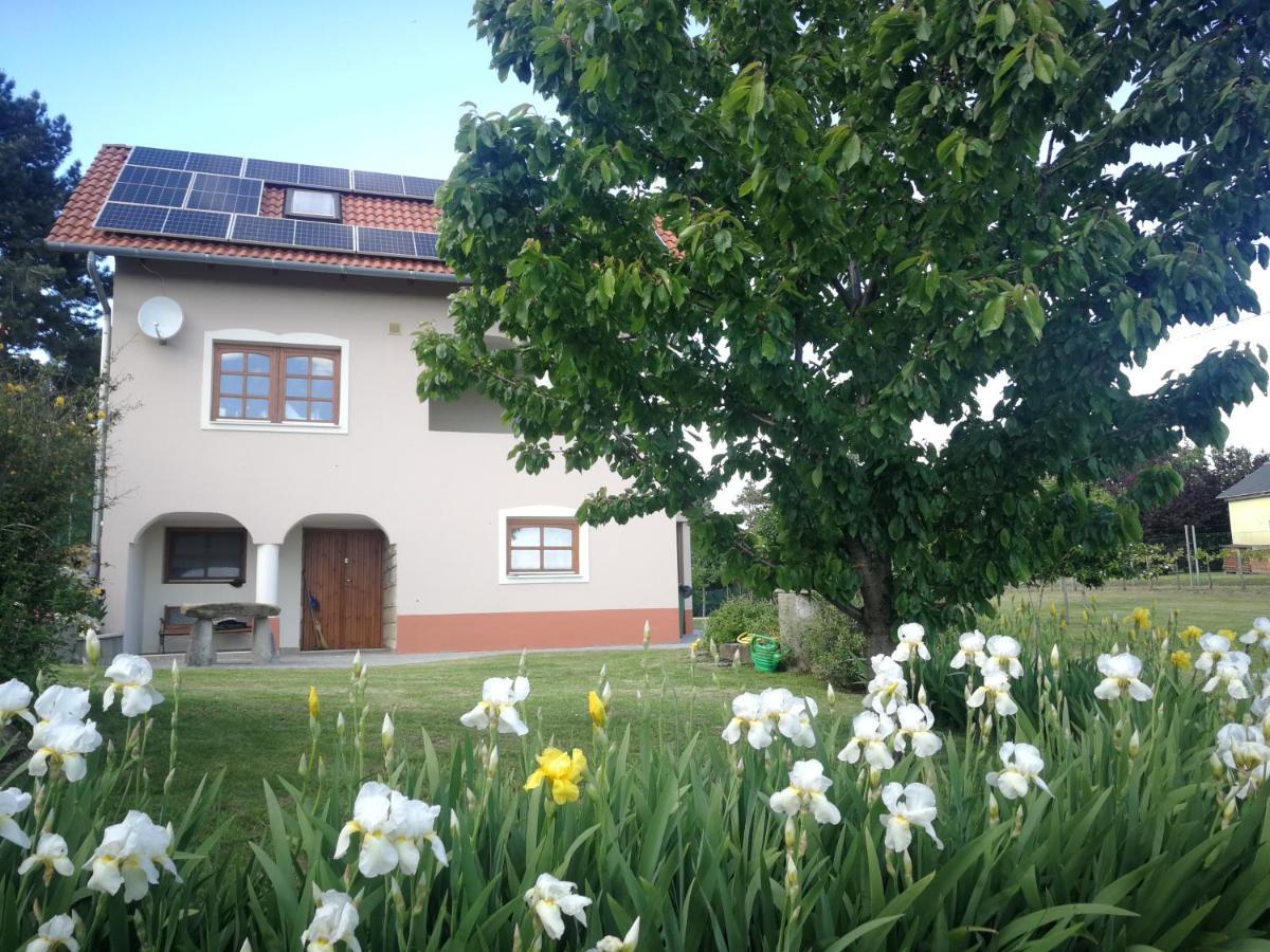 Bottyahat Guesthouse Rezi Buitenkant foto